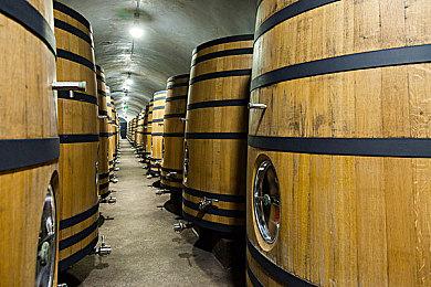 《海绵宝宝：宇宙摇摆》万圣节预告 支持中文